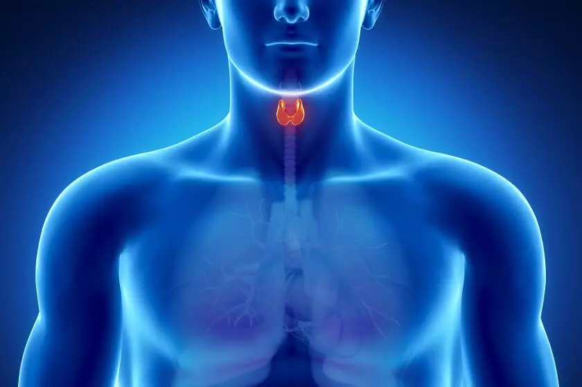 Туберкулез щитовидной железы