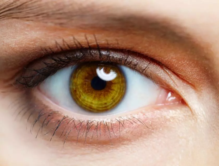 Функции роговицы глаза. Дефицит витамина А. Ксерофтальмия, образование ксерофтальмических рубцов