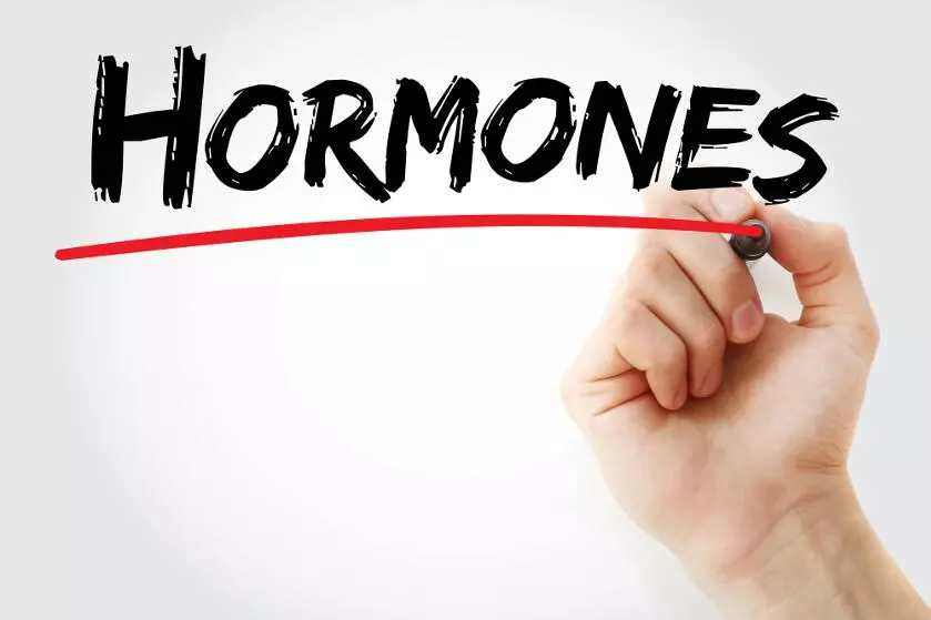 Роль гормонов глюкагона и гастрина, гипергастринемия
