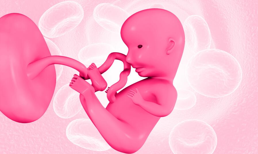 Физиология беременности: от зачатия до родов