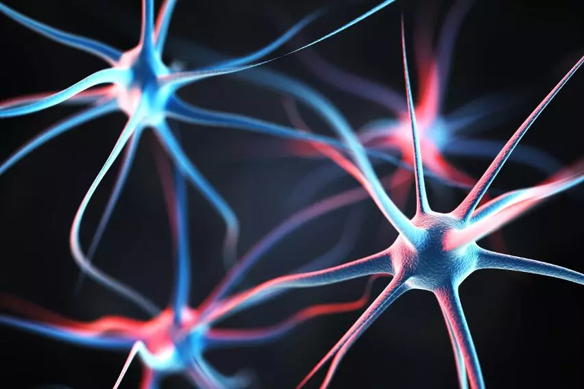 Что такое болезнь двигательного нейрона