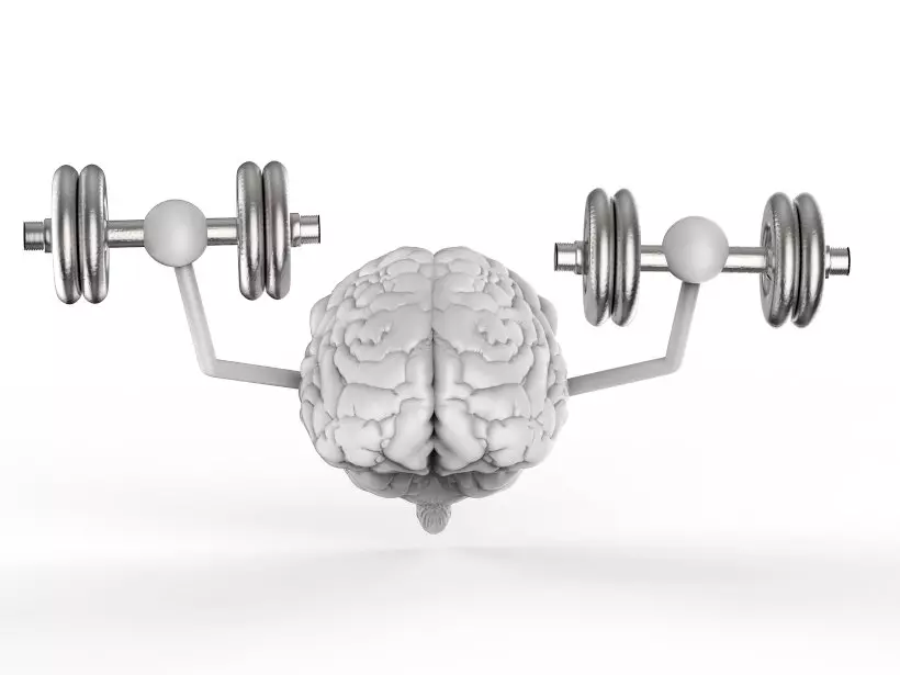 Зарядка для мозгов - тренировки и упражнения для ума и памяти