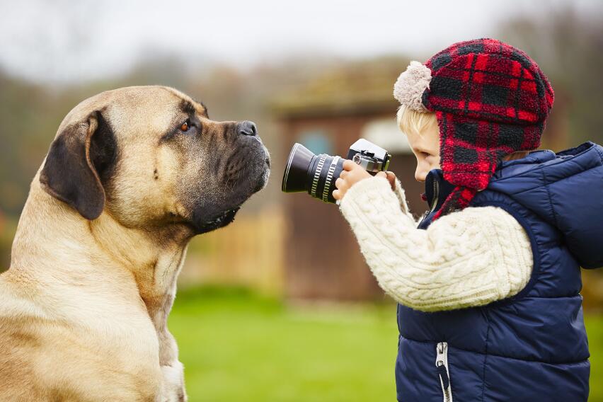 Почему мы не нравимся себе на фотографиях? Почему мы не нравимся себе на фотографиях?