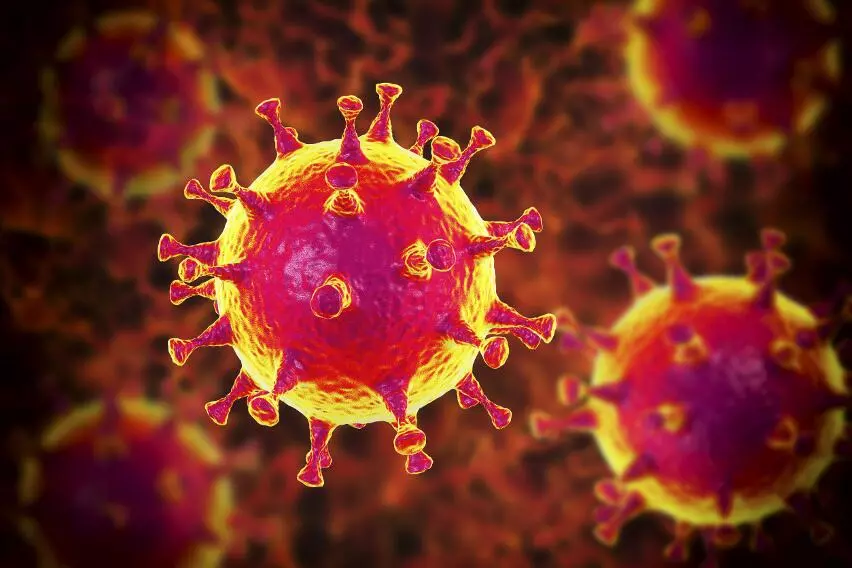 Более заразный, менее опасный: как Омикрон повлияет на ход пандемии?
