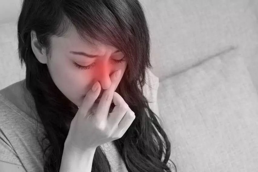 Сенная лихорадка: как убирать свой дом, чтобы уменьшить симптомы?